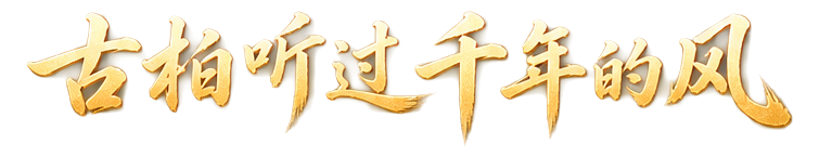 古柏听过千年的风